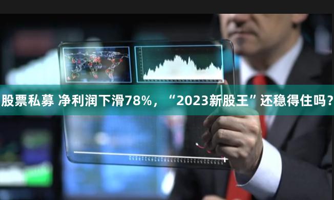 股票私募 净利润下滑78%，“2023新股王”还稳得住吗？