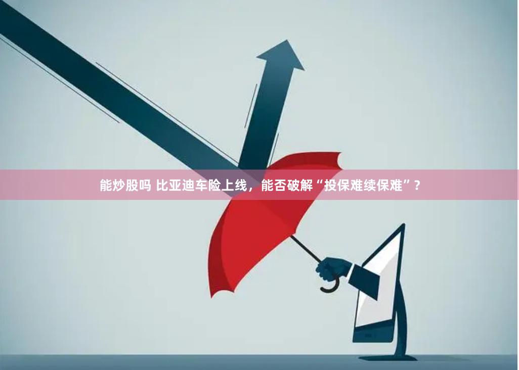 能炒股吗 比亚迪车险上线，能否破解“投保难续保难”？