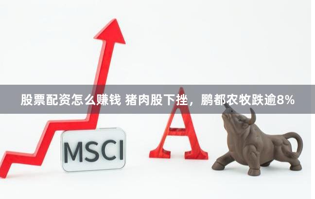 股票配资怎么赚钱 猪肉股下挫，鹏都农牧跌逾8%