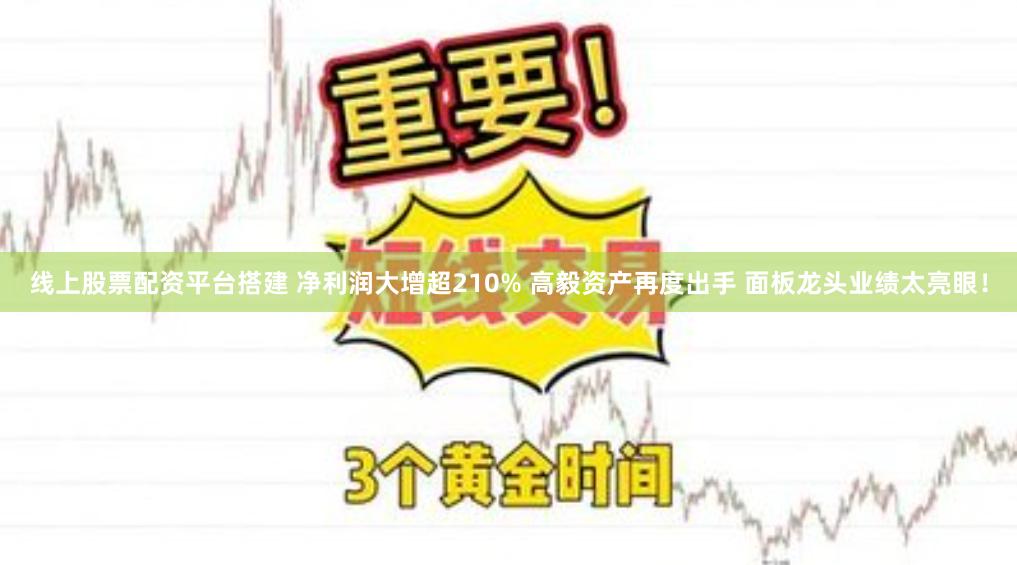 线上股票配资平台搭建 净利润大增超210% 高毅资产再度出手 面板龙头业绩太亮眼！